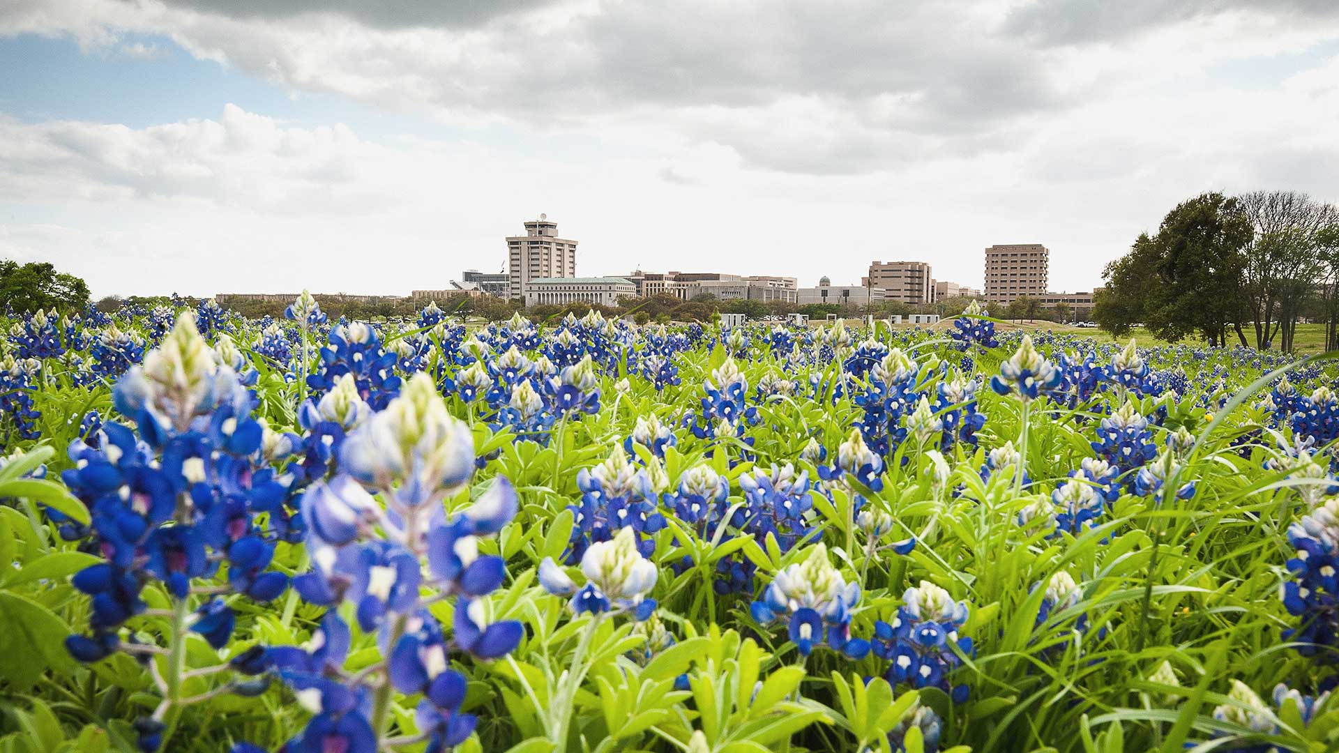 College Statio Aggieland Vacation Rental AirBNB